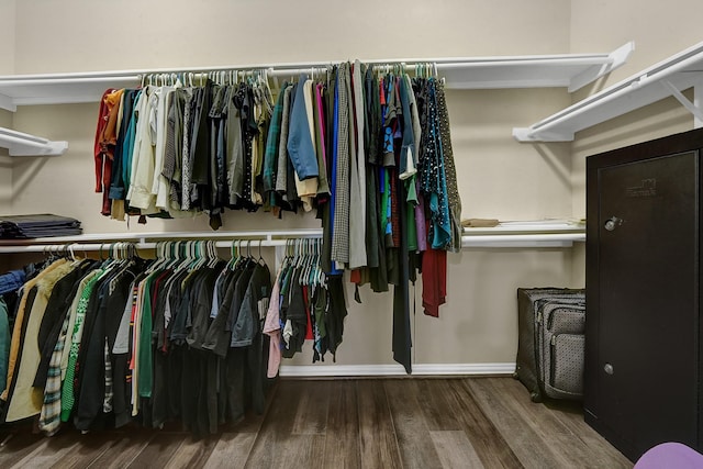 spacious closet with hardwood / wood-style flooring