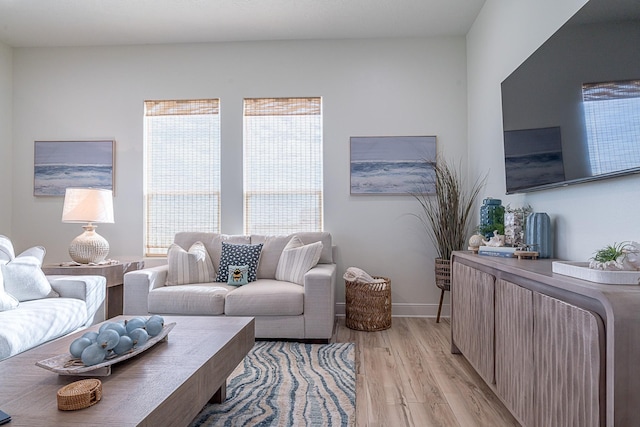 living room featuring light hardwood / wood-style floors