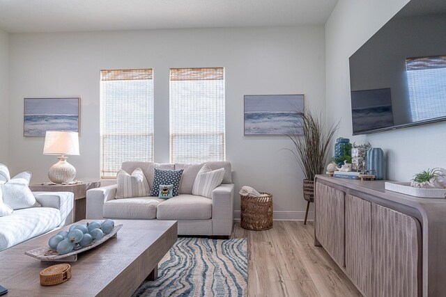 living room with light wood-type flooring