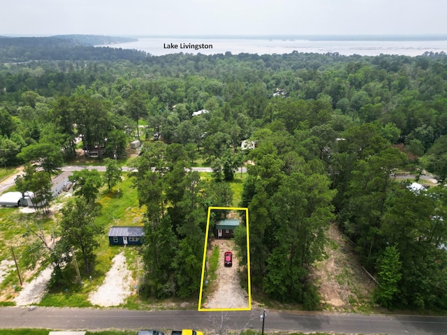 147 Seminole Dr, Trinity TX, 75862 land for sale