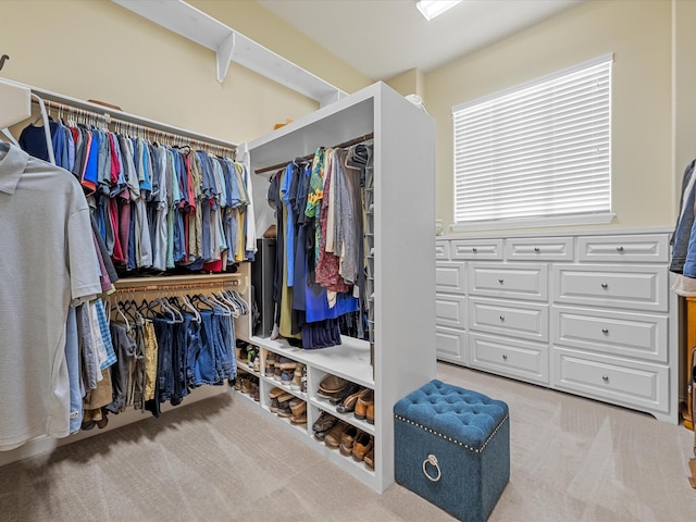 walk in closet with light colored carpet