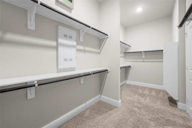 spacious closet with light colored carpet