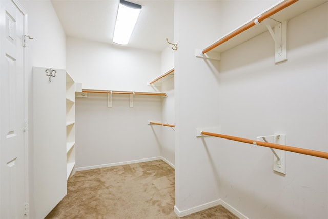 walk in closet featuring light colored carpet