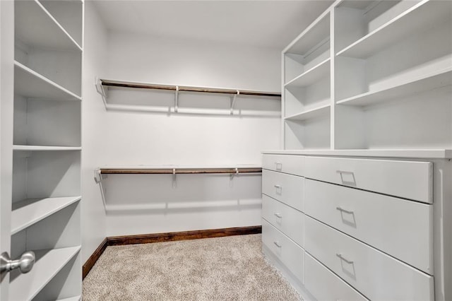 walk in closet featuring light carpet