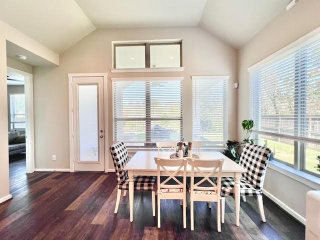 dining room featuring plenty of natural light and dark hardwood / wood-style floors