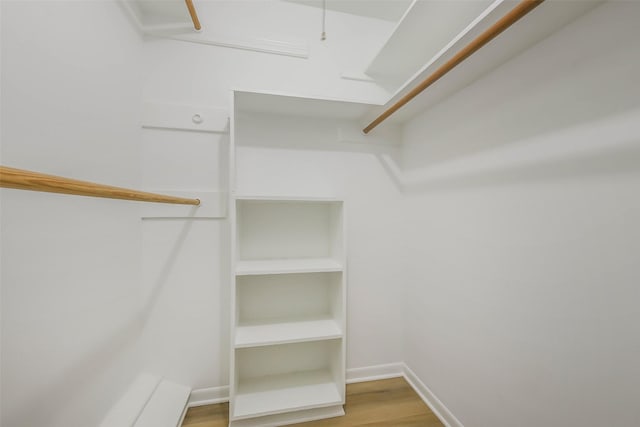 spacious closet featuring wood finished floors