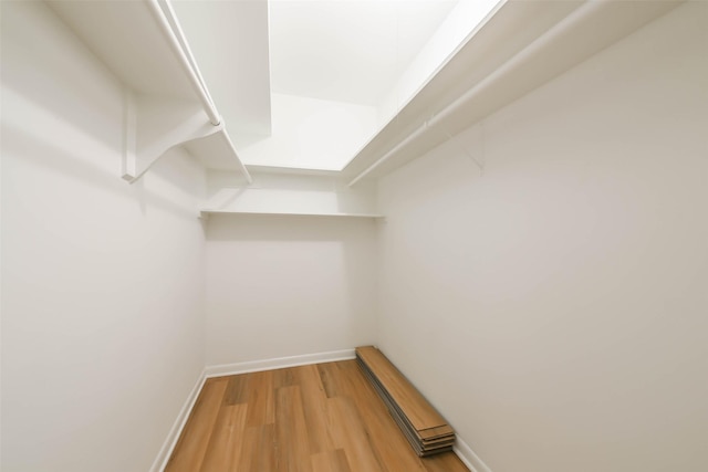 spacious closet featuring wood finished floors