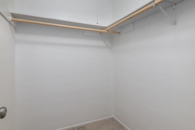 spacious closet with carpet flooring