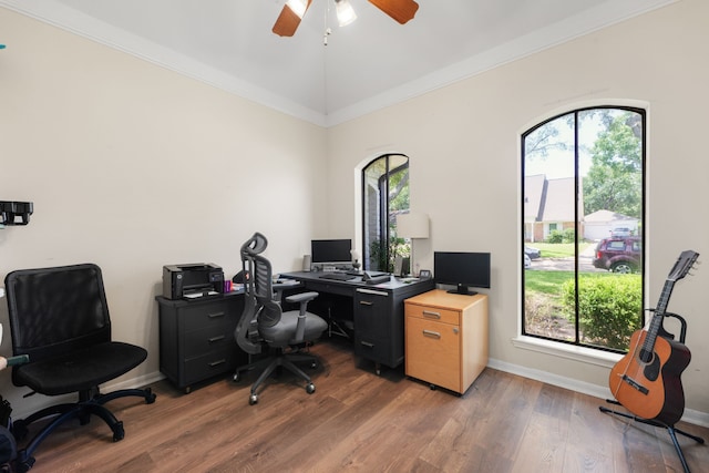 office with hardwood / wood-style floors, ceiling fan, and ornamental molding