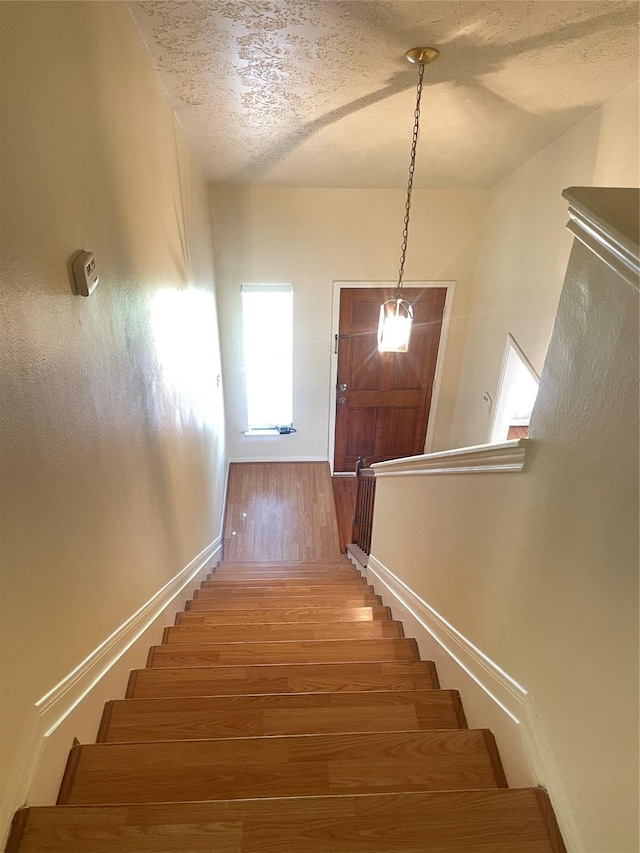 staircase with wood-type flooring