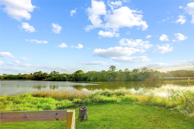 property view of water