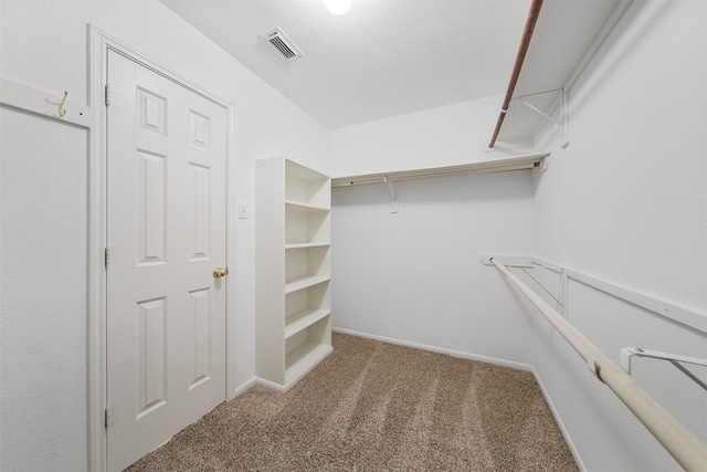 spacious closet with carpet