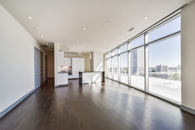 spare room with dark hardwood / wood-style floors, floor to ceiling windows, and sink