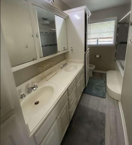 bathroom with vanity and toilet