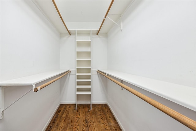 spacious closet featuring dark wood-type flooring