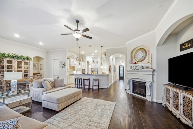 living room featuring ceiling fan, ornamental molding, and dark wood-type flooring