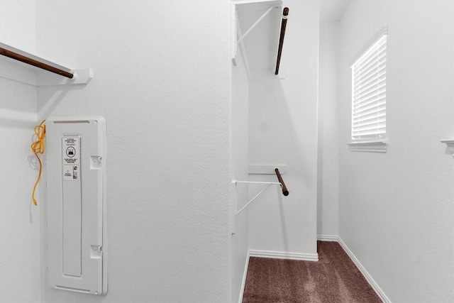 spacious closet with dark carpet