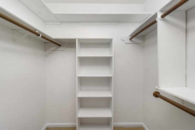 spacious closet with carpet