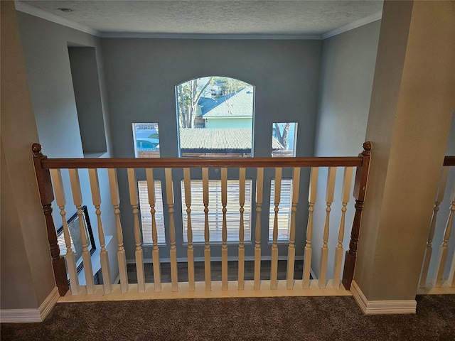 stairway featuring crown molding, carpet floors, and a textured ceiling