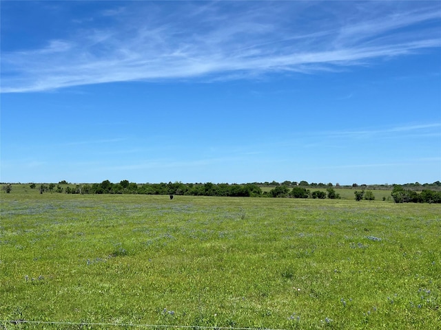 Listing photo 2 for TRACT1 Jozwiak Rd, Chappell Hill TX 77426