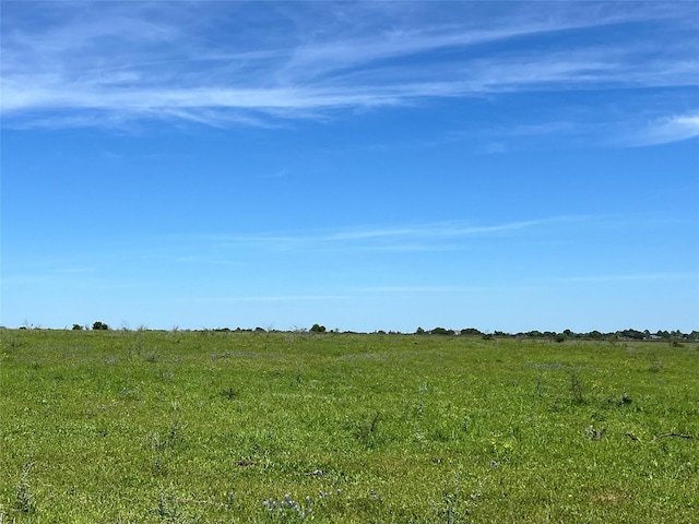 Listing photo 3 for TRACT1 Jozwiak Rd, Chappell Hill TX 77426