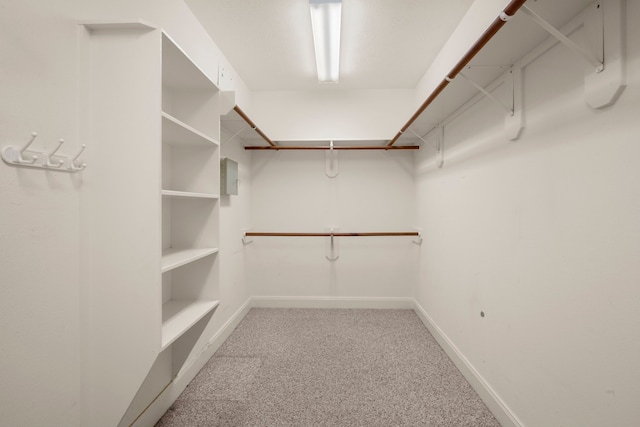 walk in closet with carpet