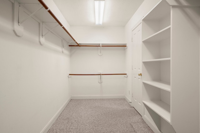 walk in closet with light colored carpet