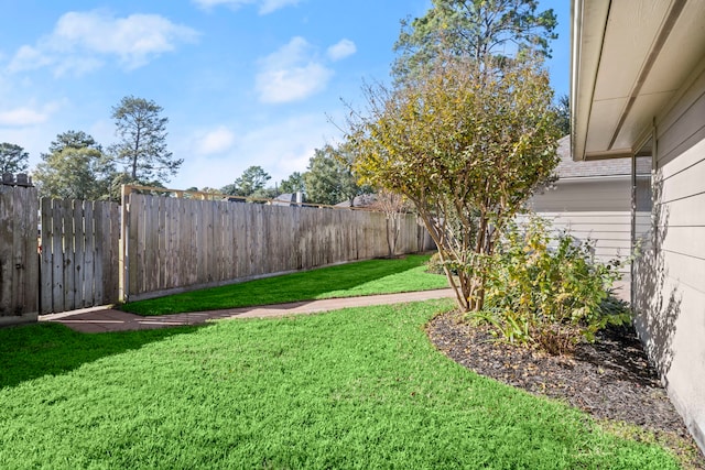 view of yard