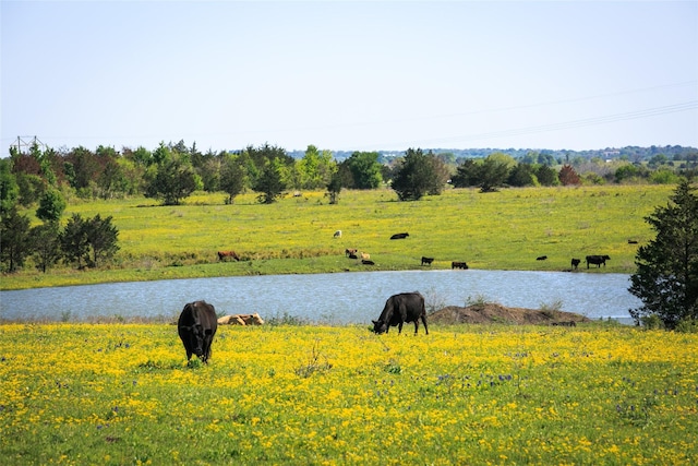 TRACT2 Chadwick Hogan Rd, Chappell Hill TX, 77426 land for sale