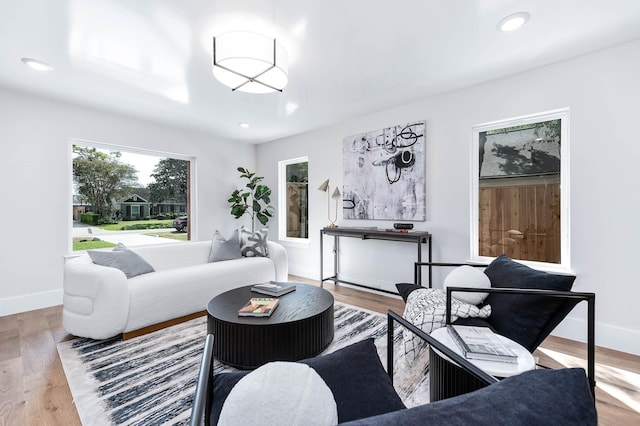 living room with light wood-type flooring