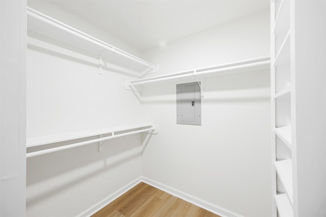 walk in closet featuring wood-type flooring and electric panel