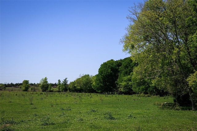 TRACT7 Caney Creek Rd, Chappell Hill TX, 77426 land for sale