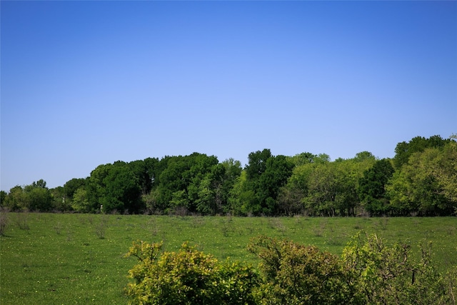 Listing photo 3 for TRACT7 Caney Creek Rd, Chappell Hill TX 77426