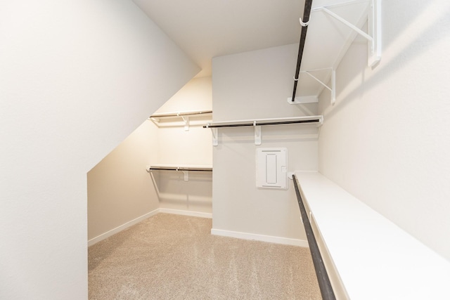 spacious closet with light carpet