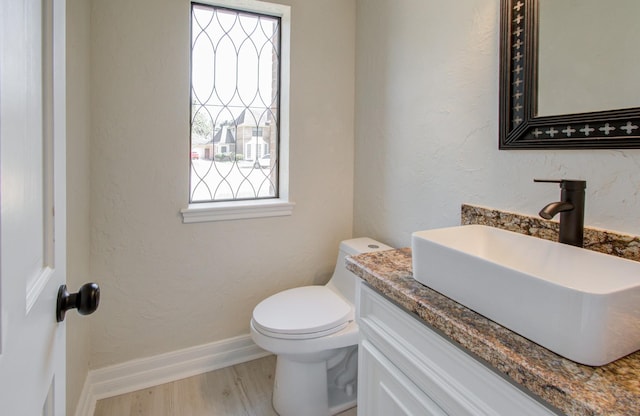 bathroom with vanity, wood-type flooring, and toilet