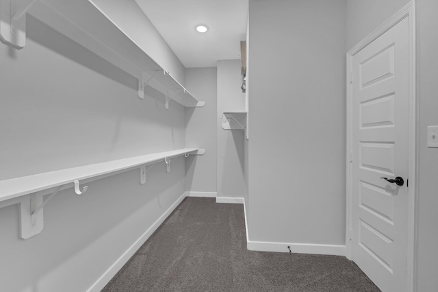 walk in closet with dark colored carpet