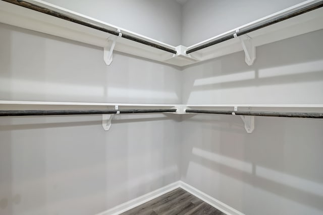 spacious closet featuring dark wood-type flooring