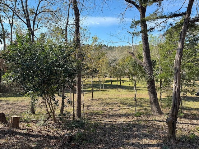 380 Cedar Valley Dr, Coldspring TX, 77331 land for sale