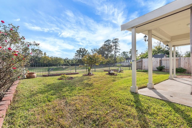 view of yard featuring a patio