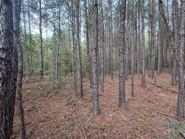 TBD Harden Rd, Livingston TX, 77351 land for sale