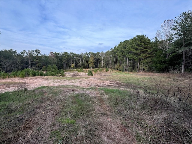 Listing photo 2 for TBD Harden Rd, Livingston TX 77351