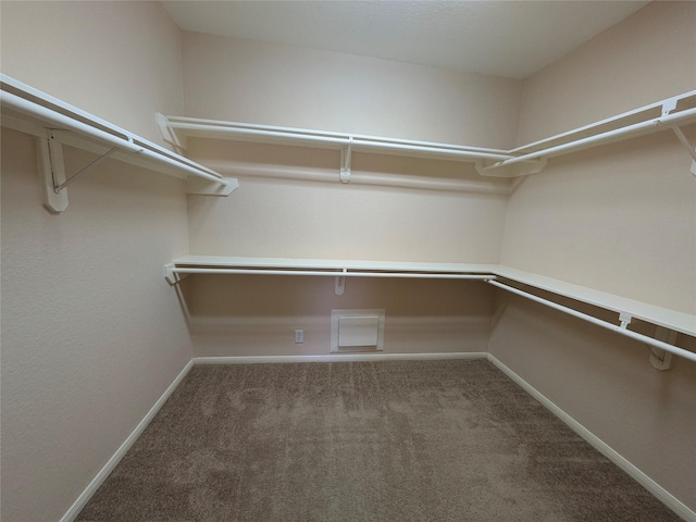 spacious closet with carpet