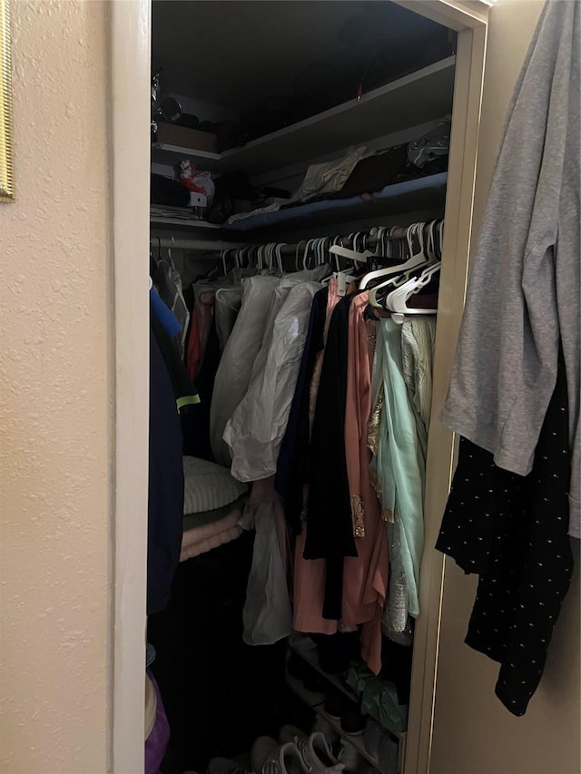 view of closet