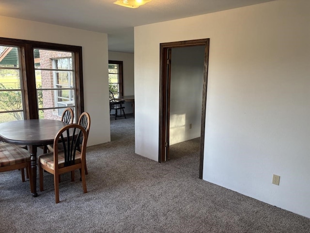 dining space featuring carpet