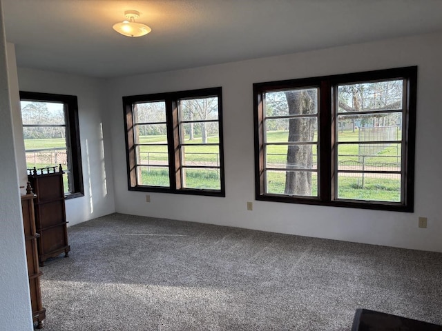 spare room featuring carpet flooring