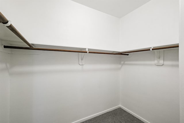 walk in closet with carpet