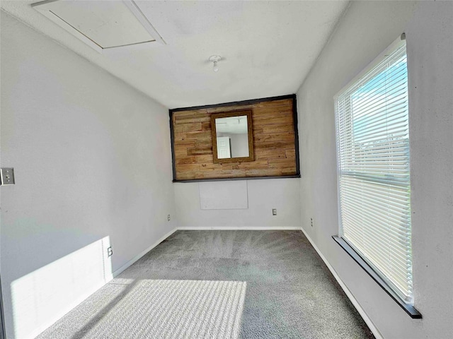 unfurnished room with carpet