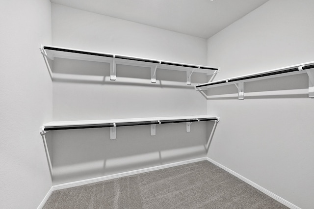 spacious closet with carpet floors