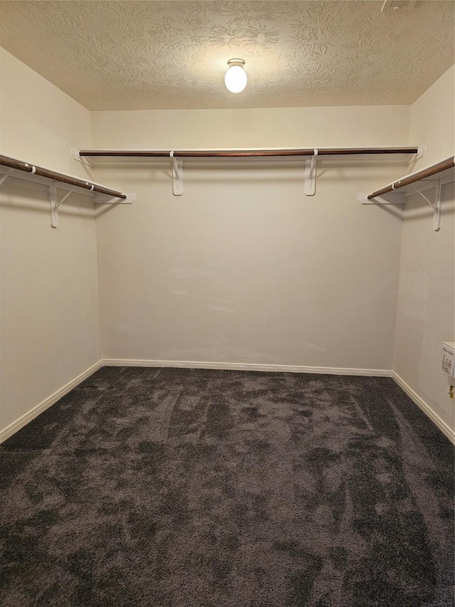 spacious closet with carpet floors