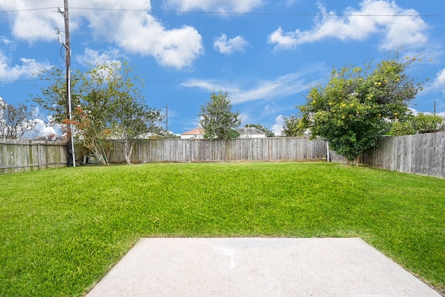 view of yard with a patio area